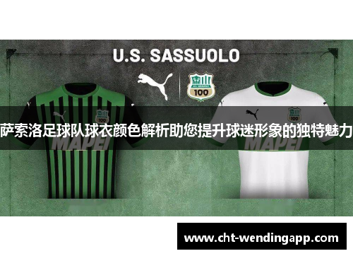 萨索洛足球队球衣颜色解析助您提升球迷形象的独特魅力