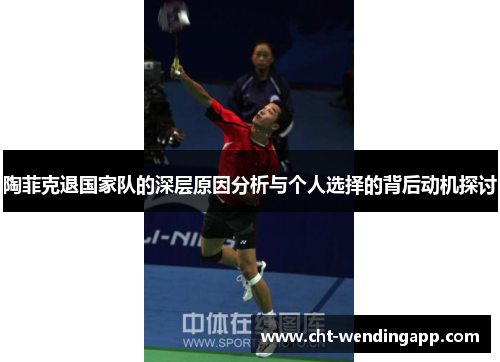 陶菲克退国家队的深层原因分析与个人选择的背后动机探讨