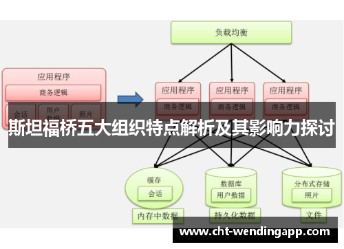 斯坦福桥五大组织特点解析及其影响力探讨