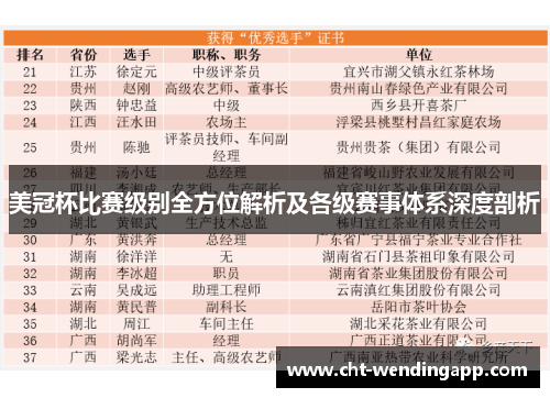 美冠杯比赛级别全方位解析及各级赛事体系深度剖析