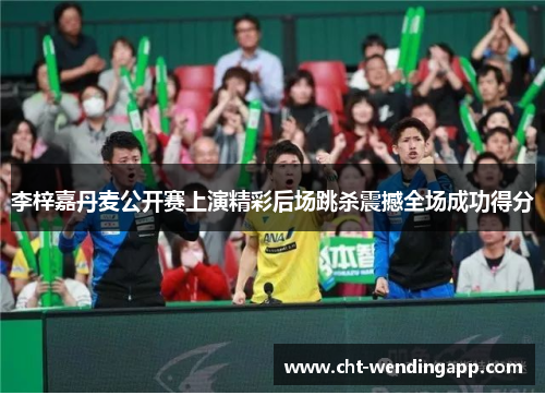 李梓嘉丹麦公开赛上演精彩后场跳杀震撼全场成功得分